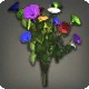 Rainbow Morning Glories