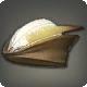 Ranger's Hat