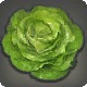 Rarefied Iceberg Lettuce