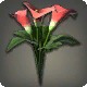Red Arums