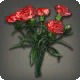 Red Carnations