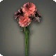 Red Cornflowers