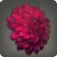 Red Dahlia Corsage
