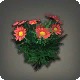 Red Daisies