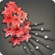 Red Hyacinth Corsage