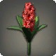 Red Hyacinths