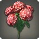 Red Hydrangeas