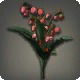 Red Lilies of the Valley