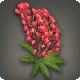 Red Lupin Corsage