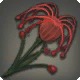 Red Spider Fungus