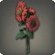 Red Sunflowers