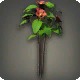Red Tea Flowers