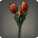 Red Tulips