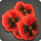 Red Viola Corsage