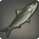 Rhotano Sardine