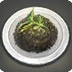 Risotto al Nero