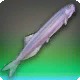 Riverlong Candiru