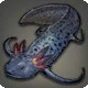 Royal Comet Tail