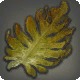 Ruby Tide Kelp