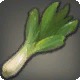 Salt Leek
