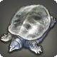 Saltshield Snapper
