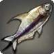 Samurai Fish