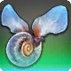 Sea Butterfly