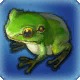 Seafaring Toad