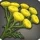 Select Cudweed