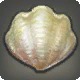 Shall Shell