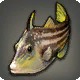 Shallows Sot
