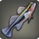 Sharknose Goby