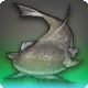 Shin Snuffler