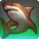 Shined Copper Shark