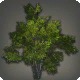 Shroud Broadleaf