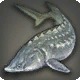Silver Sturgeon