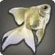 Silverfish