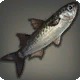 Sirensong Mullet