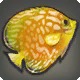Snakeskin Discus