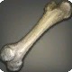 Soiled Femur
