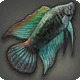 Solar Flarefish