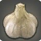Solstice Garlic