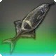 Spearnose