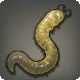 Splendid Earthworm