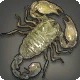 Splendid Scorpion