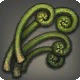 Splendid Stalk