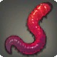 Splendid Worm