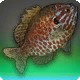 Sprouting Perch