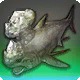 Stethacanthus