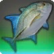 Stingfin Trevally